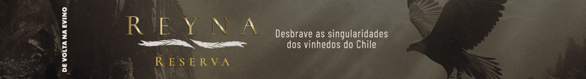 Desbrave as singularidades dos vinhedos do Chile

