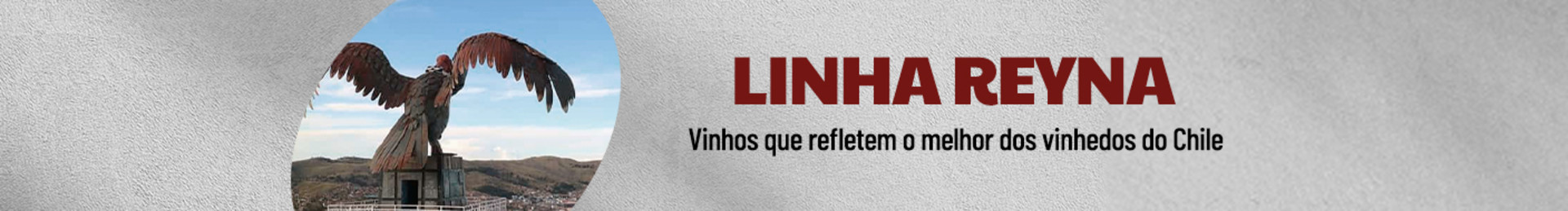 Vinhos que refletem o melhor dos vinhedos do Chile!