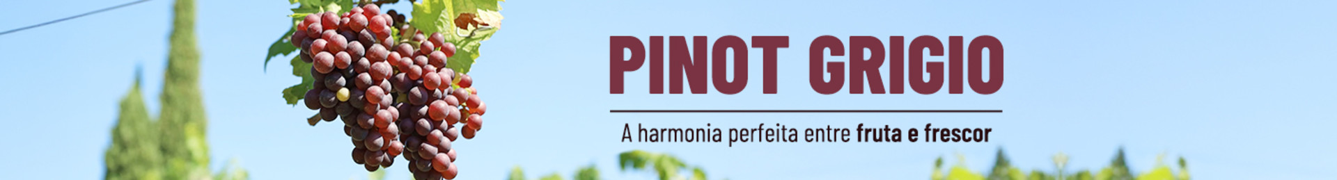 A harmonia perfeita entre fruta e frescor!