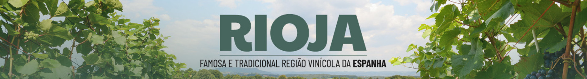 Explore rótulos de uma famosa e tradicional região vinícola da Espanha!