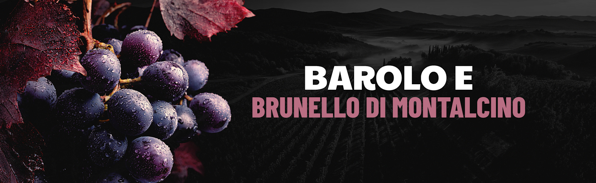 Seleção Barolo e Brunello