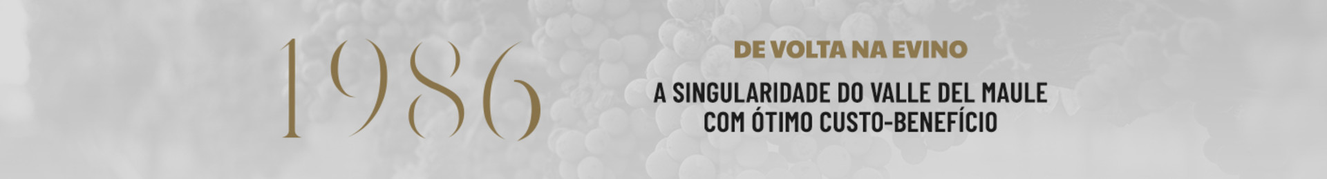 A singularidade do Valle del Maule com ótimo custo-benefício.